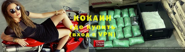 дживик Алексин