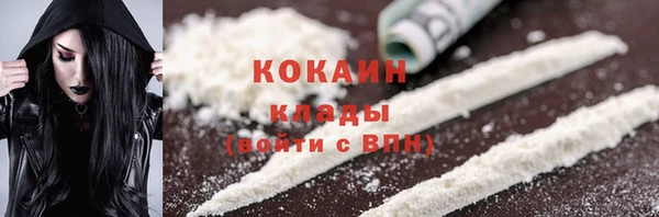 дживик Алексин