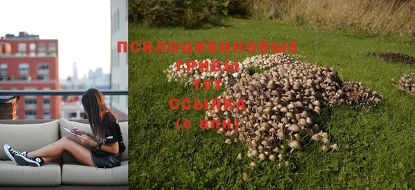 дживик Алексин