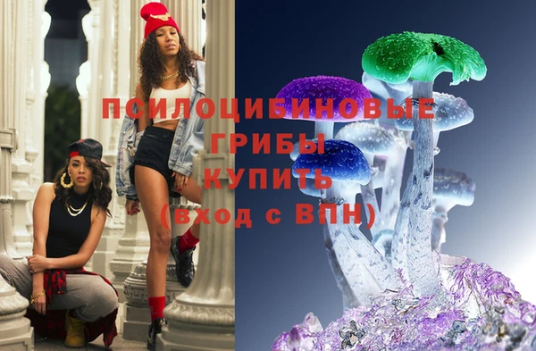ГАЛЛЮЦИНОГЕННЫЕ ГРИБЫ Алексеевка