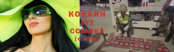 дживик Алексин