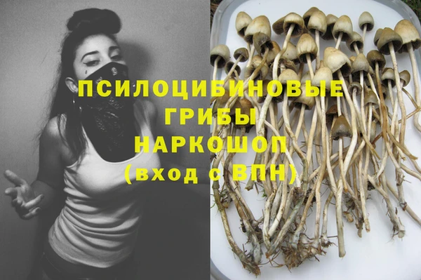 ГАЛЛЮЦИНОГЕННЫЕ ГРИБЫ Алексеевка