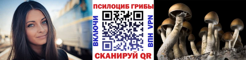 Галлюциногенные грибы Magic Shrooms Славск